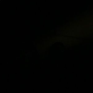 Meet your Posher, Dashawn